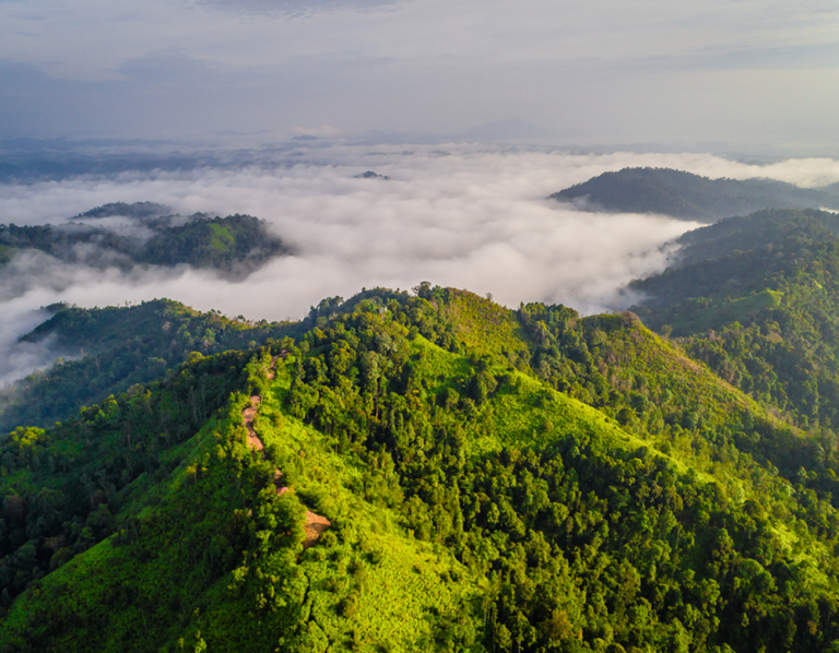 Bukit Panorama